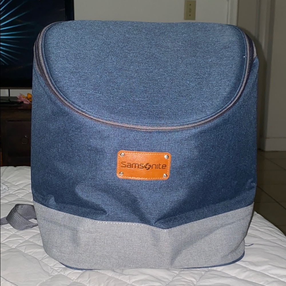 Samsonite cooler backpack